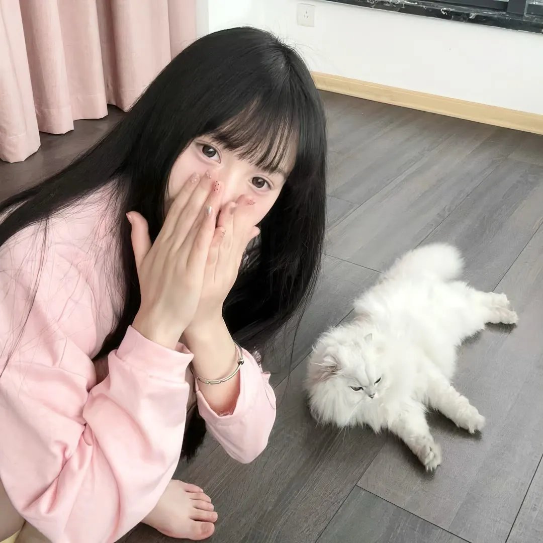 守护解放西第二季